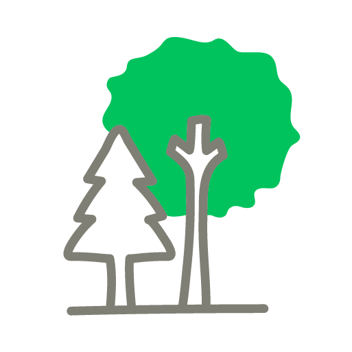 Arbres et forêts
