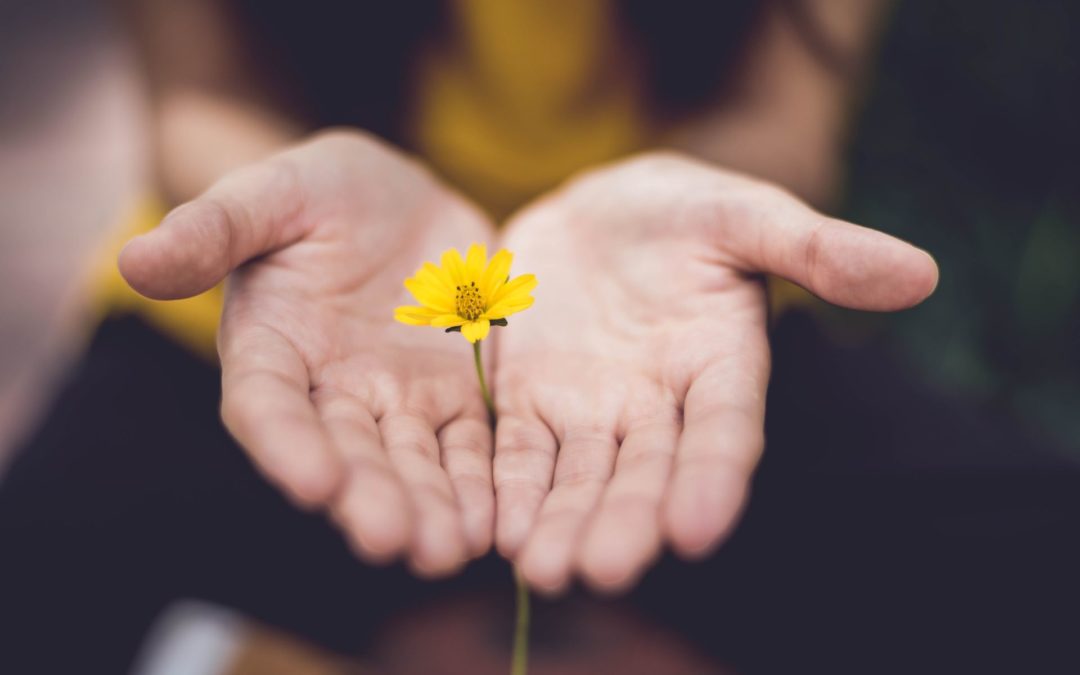 Amay : Une Alliance pour la Biodiversité