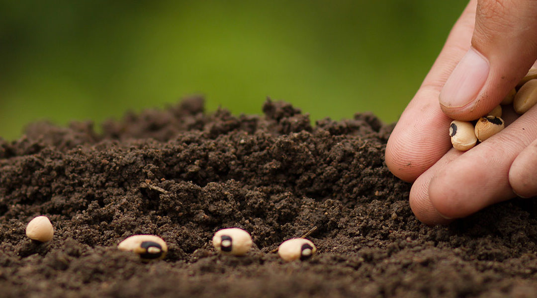 Amay : Sensibiliser et mobiliser aux enjeux d’érosion de la biodiversité