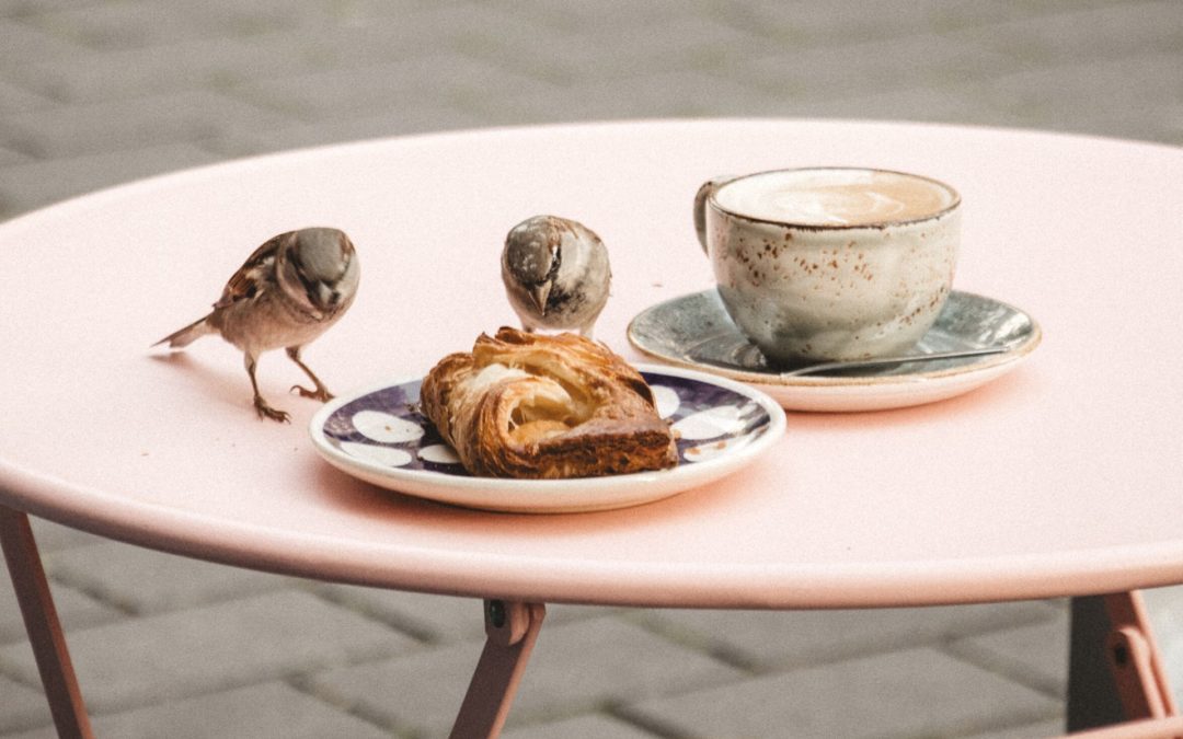 Rochefort : Brunch festif de mi-parcours ce 5 mars